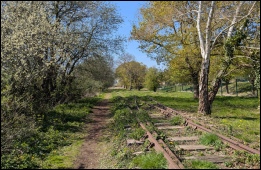 Looking towards Portishead and the approach to site of new station